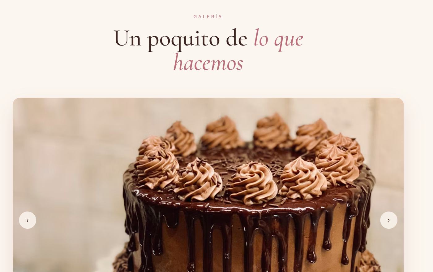 Galería de productos