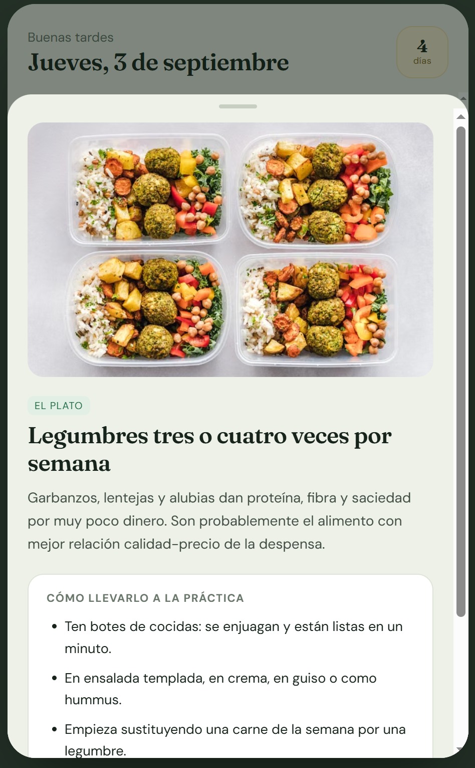 Ficha de un consejo